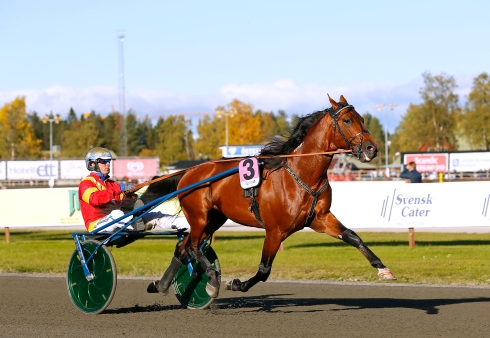 Foto av Maria Holmén/TR Bild