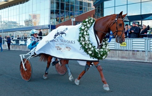 Conrads Rödluva och Örjan Kihlström efter segern i Svenskt Trav-Oaks i fjol. Foto av Foto: Maria Holmén, TR Bild