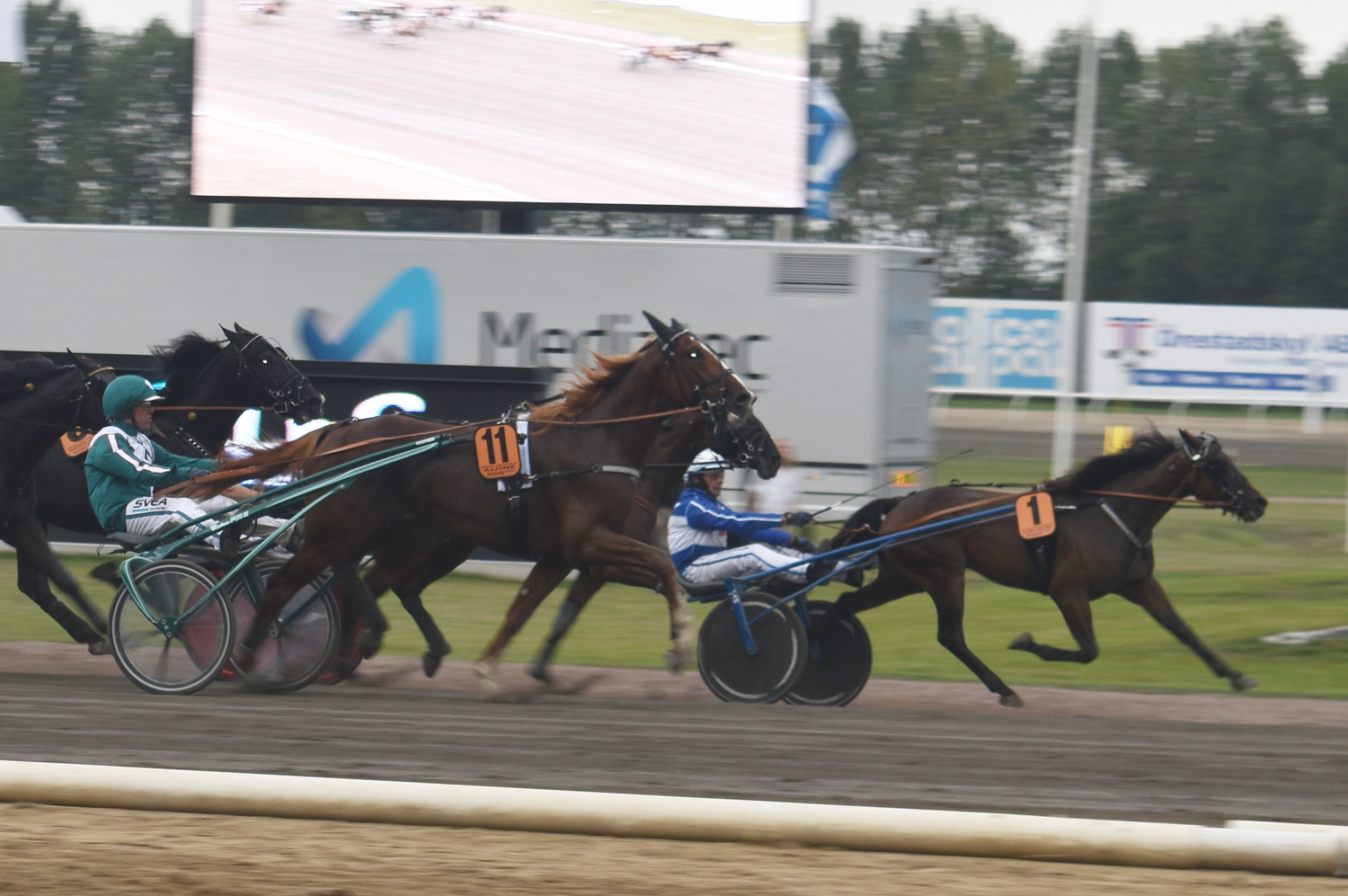målderby