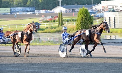 Global Badman och Daniel Wäjersten vinner Breeders' Crown på Bergsåker i augusti. Foto: Lars Jakobsson, TR Bild Foto av Lars Jakobsson, TR Bild