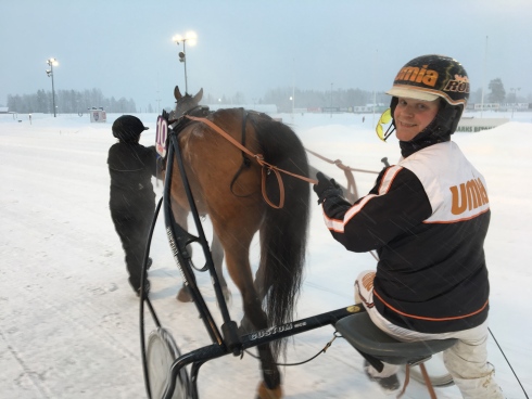 Formtoppade Robert Dunder selar ut två hästar i onsdagens V86-omgång. Foto av Mikael Wikner/TR Bild