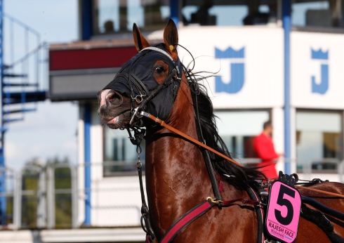 Rajesh Face. Foto av Thomas Blomqvist/TR Bild