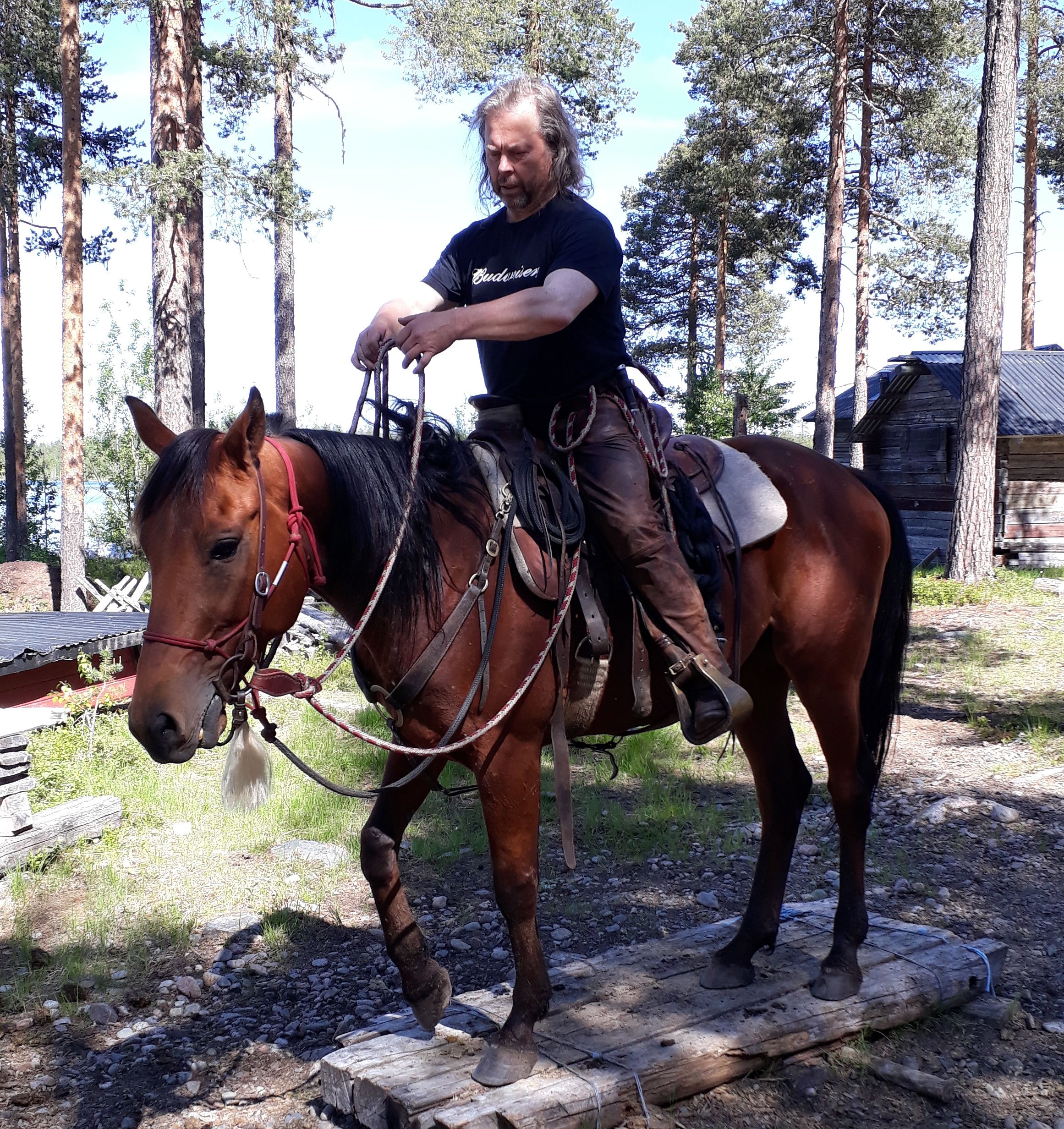 Före detta Travkompanihästen Utopi med Rikard Öhman på Udda Äventyr. Foto; A.Lindblom