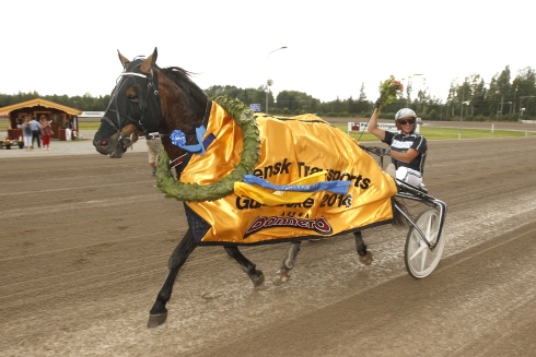 Bro Viking och Robert Bergh vann Svensk Travsports Guldtäcke 2014. Foto av Micke Gustafssion TR Bild