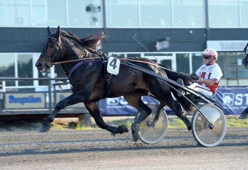 Mjölner Apollo sträcker ut för Per Linderoth. Lars Wikström på Bergsåker tränar. Foto: Lars Jakobsson. TR Bild