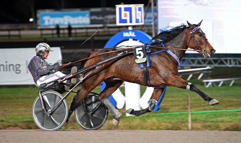 Ulf Ohlsson har två raka segrar tillsammans med Marschall Match som startar i V75-7. Foto av Malin Albinsson TR Bild