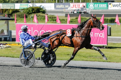 Ecurie D. planeras göra årsdebut i början av april. Foto av Lena Emmoth TR Bild