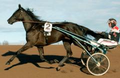 lie_ditector-romme76