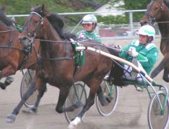 Shergar-040610-6
