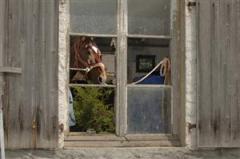 lamiral_tb_3_080522_15029