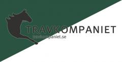 Travkomp-vimpel-low