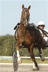 commander_crowe_puro_tb_080714_16291
