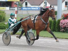 Läckre Milliondollarbaby siktar mot tredje raka segern. Foto: Travkompaniet
