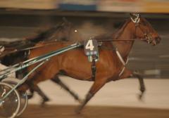 malte1