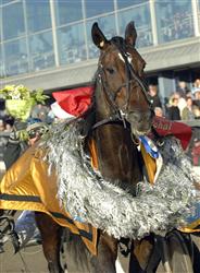 Mystic Lady U.S. Foto: Claes K&auml;rrstrand.
