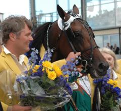 Maharajah var nog den som var allra coolast efter Derbysegern. Foto: Travkompaniet