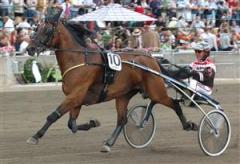 bamse-gema-ck_090914_164511