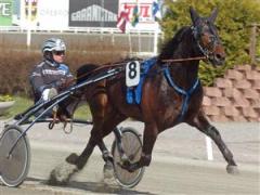 alvena-pele-ck_100701_153044