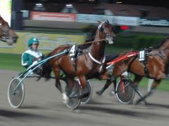 One-galopp
