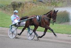 pinepower_rose_100906_183615