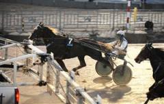 commandercrowe_pi_100920_202221