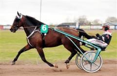 Maharjah och &Ouml;rjan Kihlstr&ouml;m, klara favoriter i V75-3, C.L. M&uuml;llers Memorial. Foto: Claes K&auml;rrstrand
