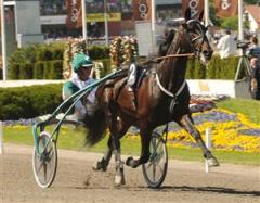 jaded_lj_101029_191339