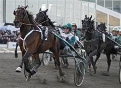 Maharajah och &Ouml;rjan Kihlstr&ouml;m f&aring;r b&auml;ra favoritskapet. Foto: Maria Holm&eacute;n