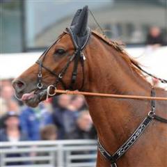 caballion_lj_110907_16043