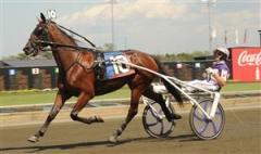 southern_rocketop_lj_110912_172038
