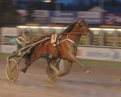 Dryga varvet från mål sätter Maharajah full fart i tredje spår. Foto; A.Lindblom/Travkompaniet