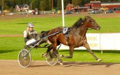 Bjuder Ante Lisell p&aring; ny segergest bakom Java Grande efter V86-5?