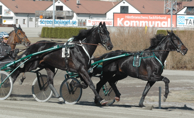 Utvändige Panne De Moteur finslipar formen tillsammans med Orecchietti. Foto; A.Lindblom/Travkompaniet