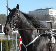 Panne-De-Moteur-120315-10