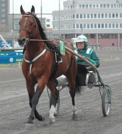 Poobong ska starta på i vinter. Foto; A.Lindblom/Travkompaniet