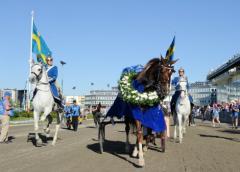 Commander Crowe i segerdefilering efter Elitloppet 2012. Foto av THOMAS BLOMQVIST