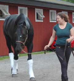 Mette och Panne De Moteur ger sig iväg på årets sista långresa. Foto; A.Lindblom/Travkompaniet