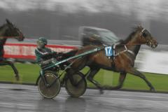 Maharajah kom, sågs och segrade på Vincennes. Foto; A.Lindblom/Travkompaniet