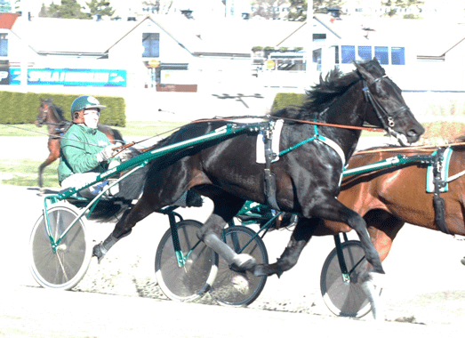 Panne-De-Moteur-140313-3