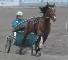 Foto: Annika Lindblom, Travkompaniet