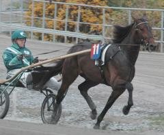 Rockabilly-premie-2012-4