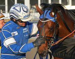 Travtalangen Sloppy Joe är redo för karriärens första stora final.                                                                                        Foto av LARS JAKOBSSON