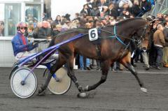 Texas Charm och Julien Dubois.                                                                                            Foto av Kanal 75