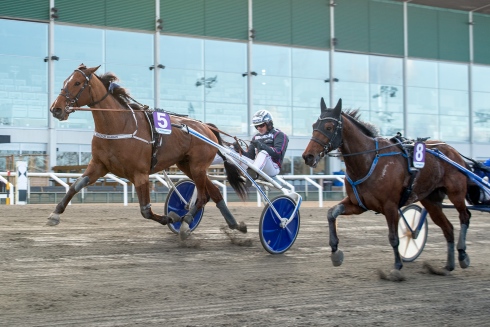 100:e årssegern för Ulf Ohlsson kom med Tyson Dimanche på V75® i lördags. Foto av Kanal 7