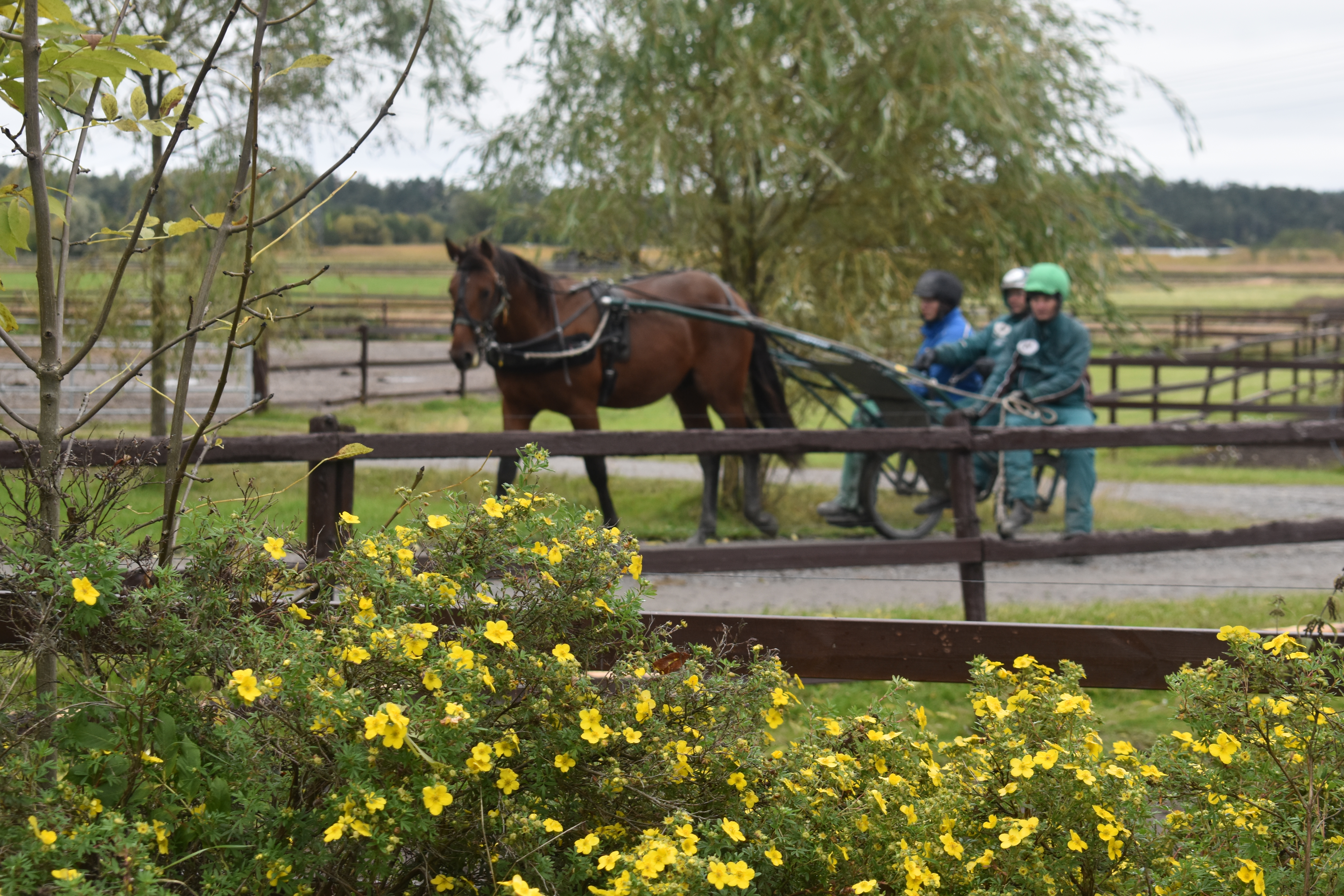 Flirtini, här för första gången för vagn. Foto; A.Lindblom