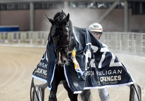 Thomas Uhrberg segerdefilerar med Ikaros Sisu. Foto av Lars Jakobsson TR Bild