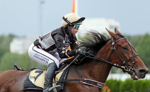 Unique Juni startar i Prix de Cornulier. Foto av Matilda Öhrman TR Bild