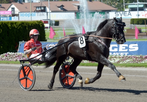 Odd Herakles och Tom Erik Solberg på Solvalla i maj förra året. Foto: Lars Jakobsson TR Bild