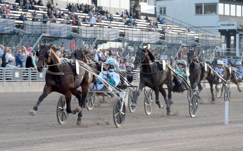 Foto av Lars Jakobsson/TR Bild