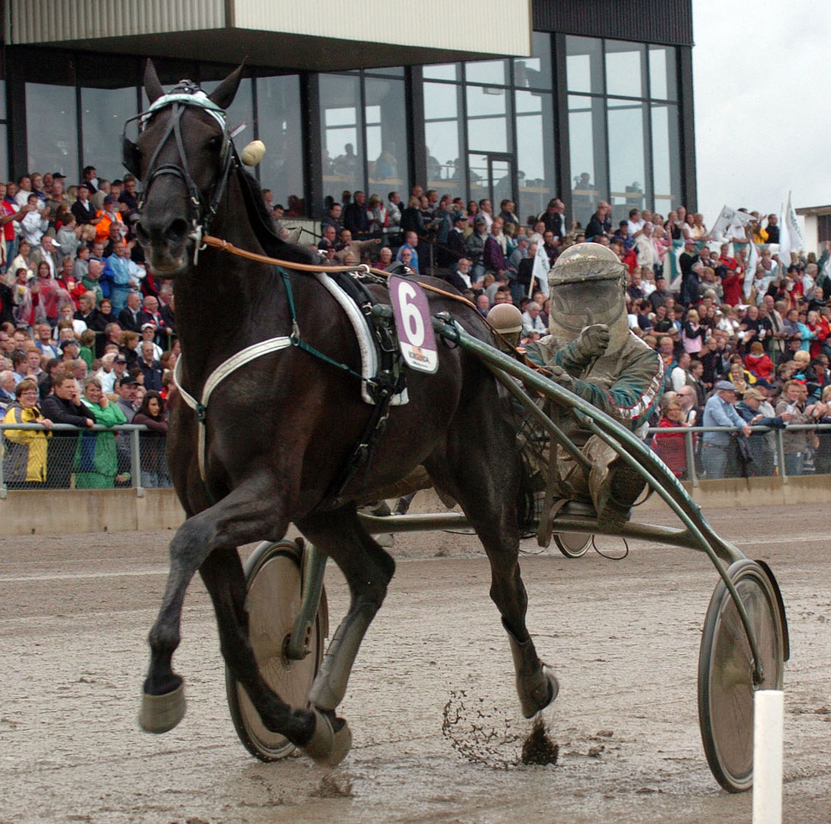 Örjan Kihlström gör tummen upp bakom Lie Detector när de vinner Stochampionatet 2008. Foto; C.Kärrstrand